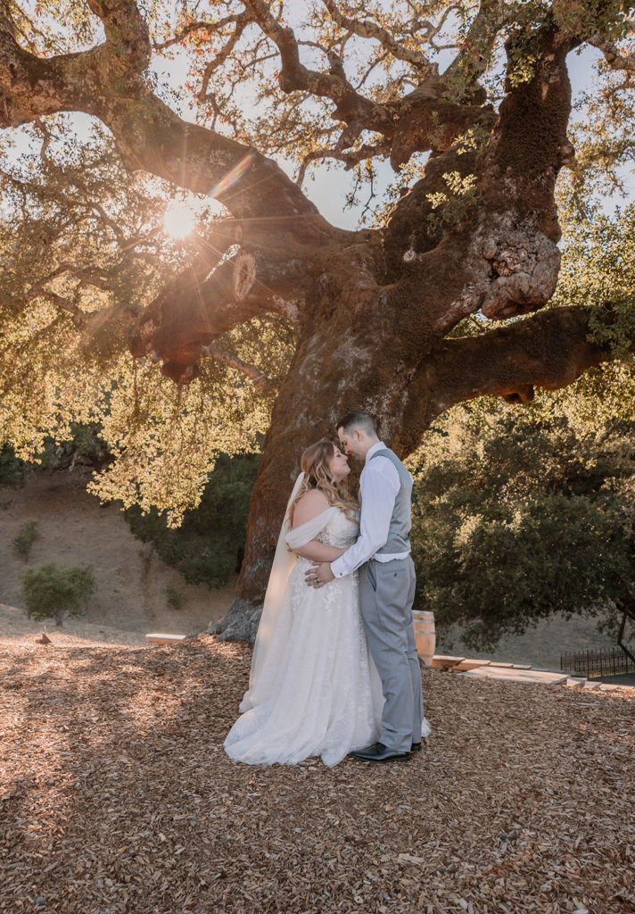 Bride and groom portraits after bay area in california wedding at mountain house estate