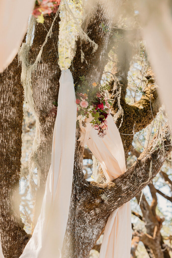 Wedding bridal bouquet in tree