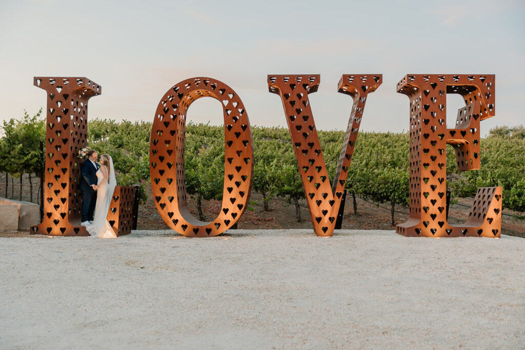 Bride and groom portraits from a California vineyard wedding at Leal vineyards