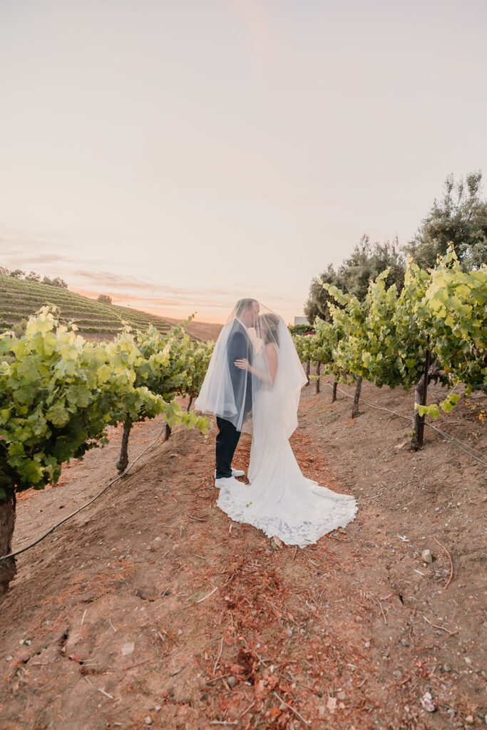 Bride and groom portraits from a California vineyard wedding at Leal vineyards