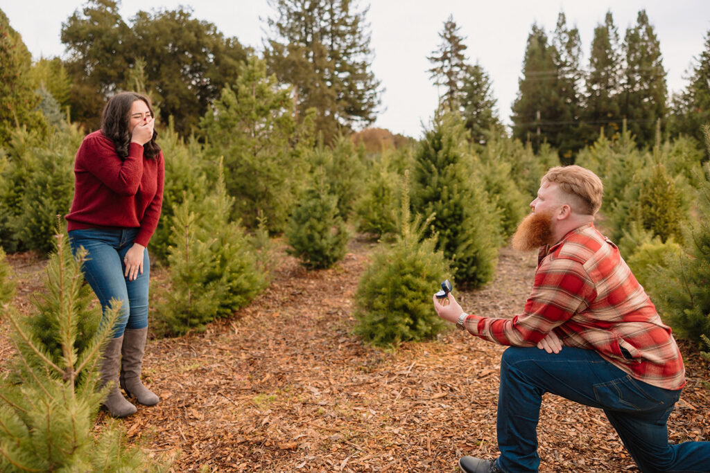 A romantic winter proposal at a California Christmas Tree Farm