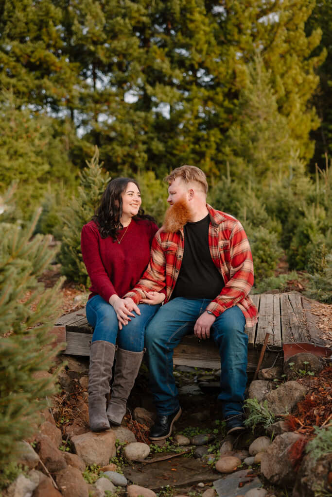 Couples photos from a romantic winter proposal at a California Christmas Tree Farm