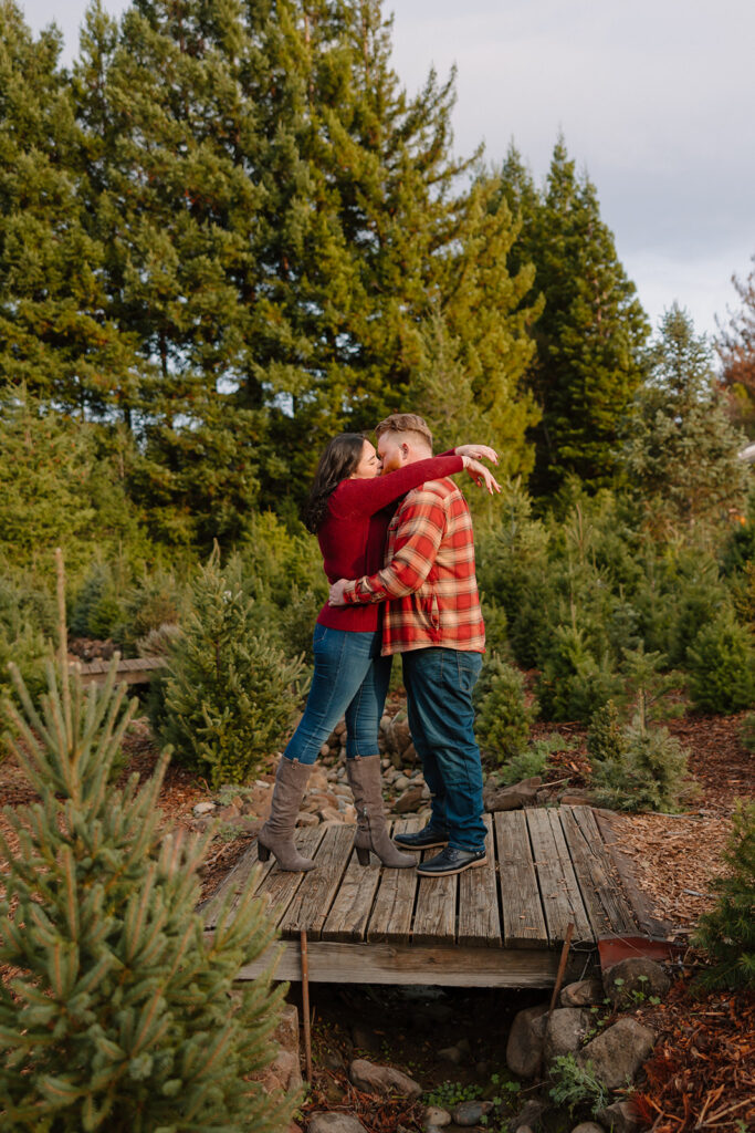 Couples photos from a romantic winter proposal at a California Christmas Tree Farm