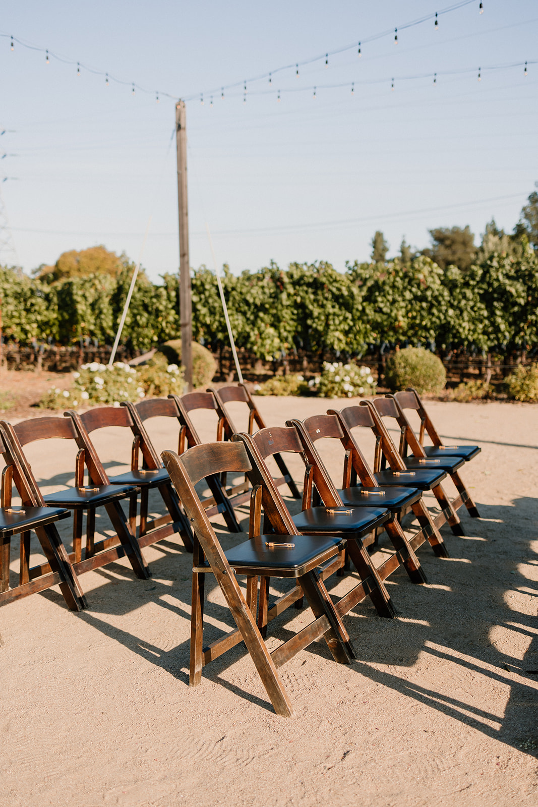 Wooden chairs arranged in rows at an outdoor venue, with a vineyard in the background and string lights above at Tre Posti wedding venue