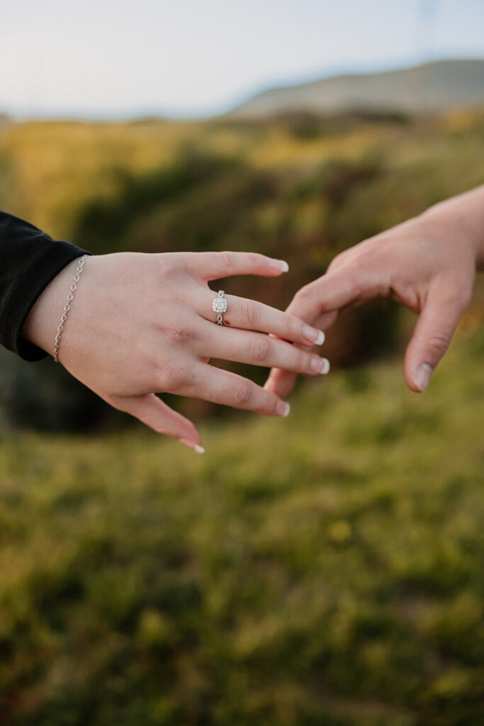 a surprise proposal photoshoot in northern california
