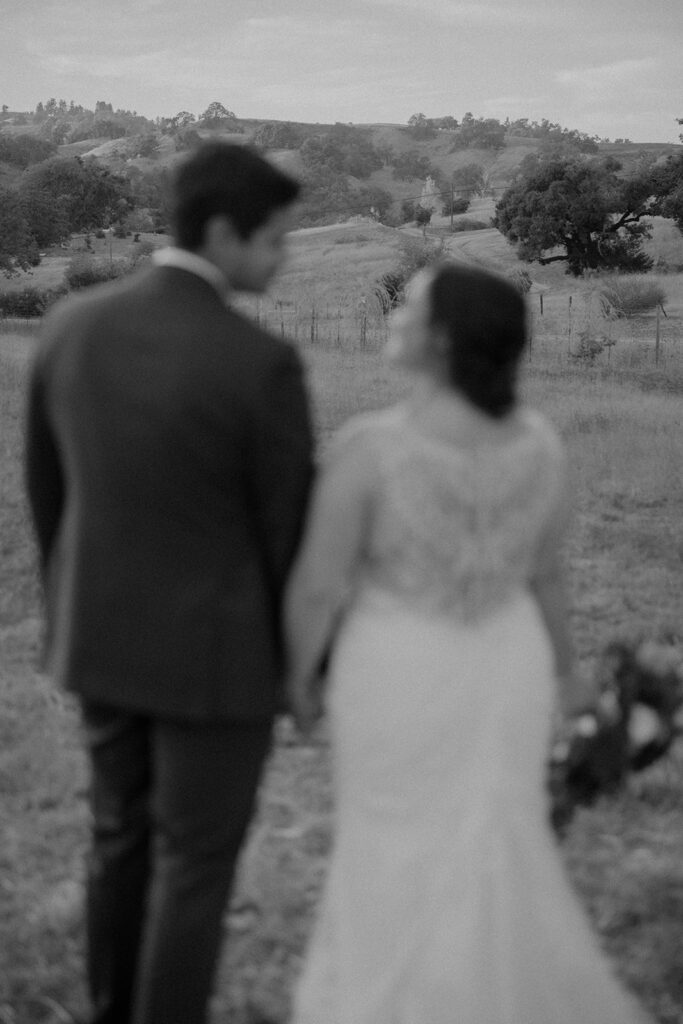 wedding pictures in a field