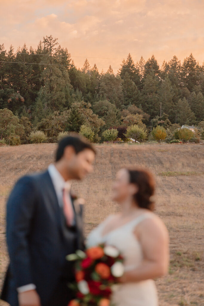 wedding pictures in a field