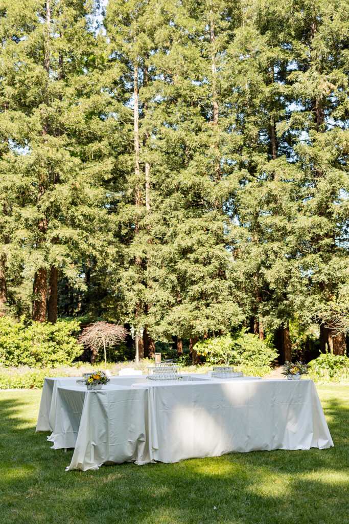 a bright wedding photoshoot in the bay area