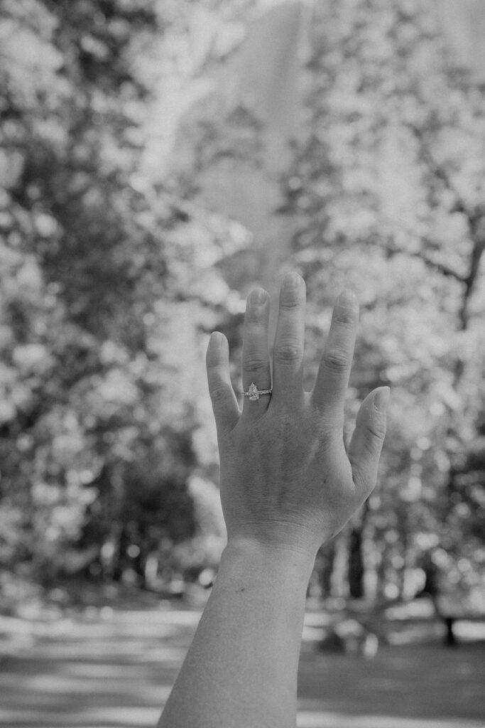 a surprise proposal photoshoot in yosemite
