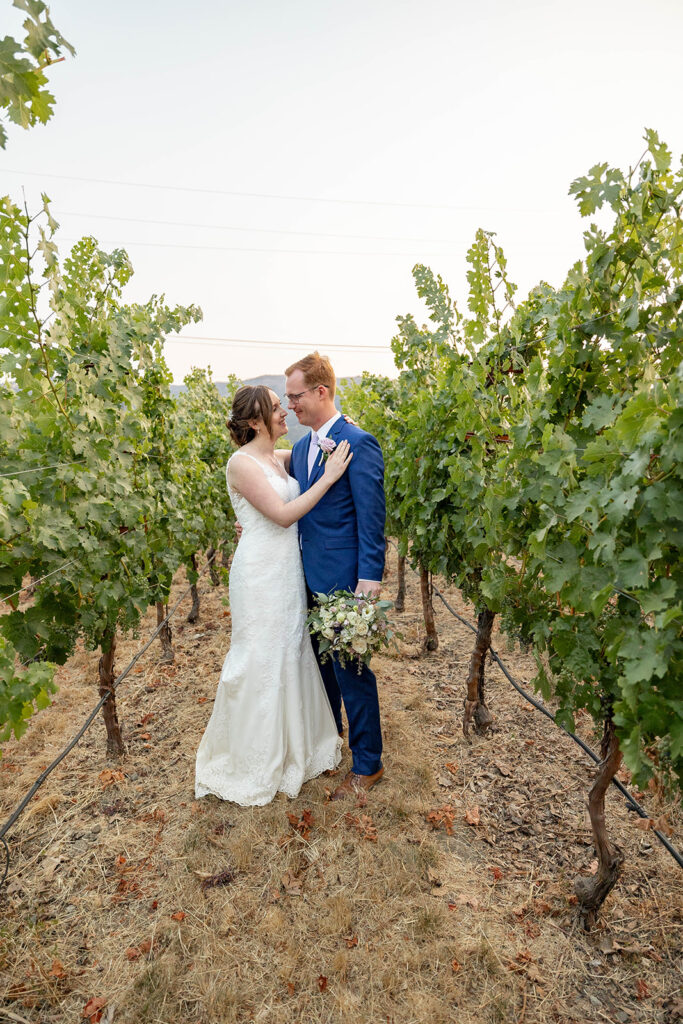 a wedding photoshoot session in napa valley
