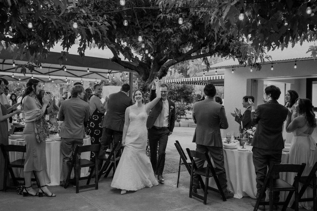 a wedding photoshoot session in napa valley